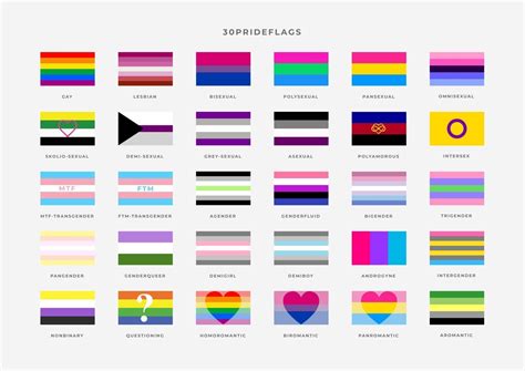 Identity Pride Flags Set Pride Month Flag Of Gay Transgender Bisexual Lesbian Etc 2711827