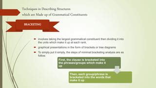 Introduction to lexico grammar