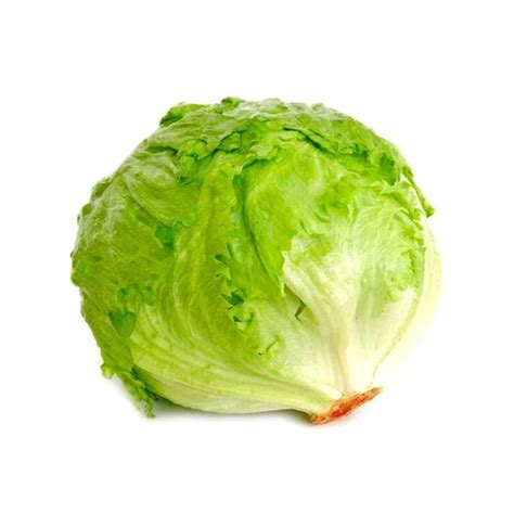 ICEBERG LETTUCE KG Nitume