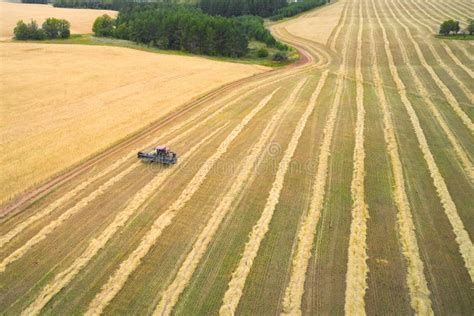 Aerial View Of A Wheat Field And A Lone Mower Mowing The Ears Copy