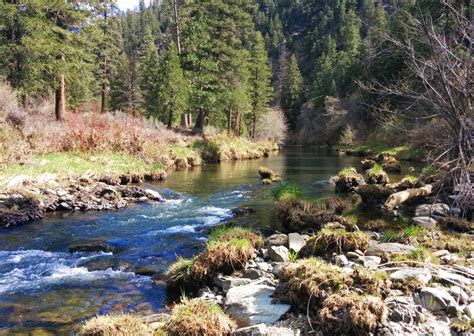 Cascade Trail – Pacific Coast Trails