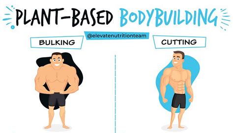 What Is Cutting In Bodybuilding Ultimate Guide To Shredded Physique