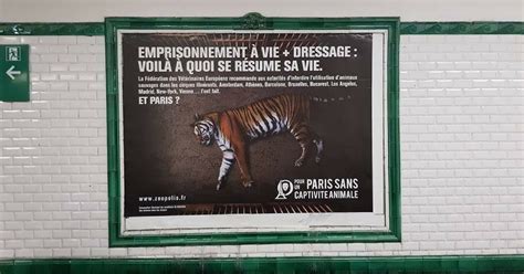 Paris une campagne contre les cirques avec animaux dans le métro