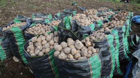 Publican Ley De Compras Estatales De Alimentos De Origen En La