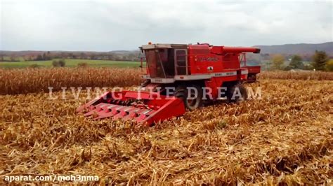 Massey Ferguson Combine Shelling Corn