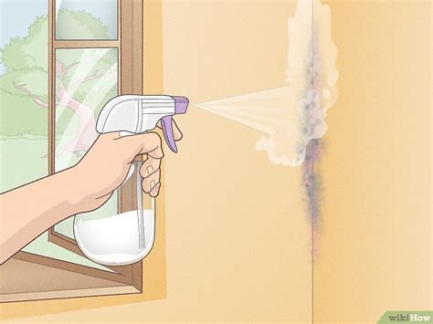 How to Kill Mold on Drywall (And Tips to Prevent It)