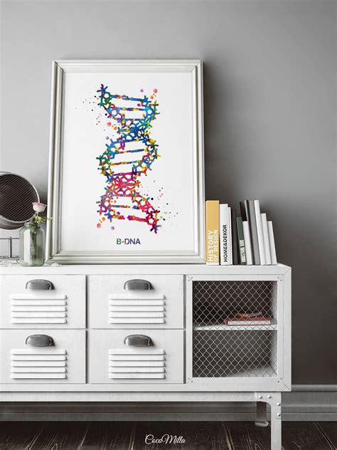 Dna Molecule A Dna B Dna Z Dna Watercolor Print Set Medical Etsy