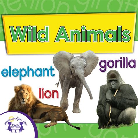 zoo animal songs and stories 3