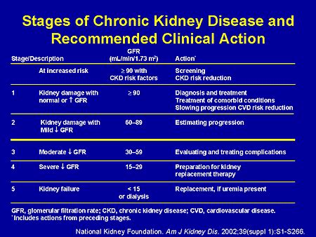 Chronic Kidney Disease Diet Plans - dutchposts