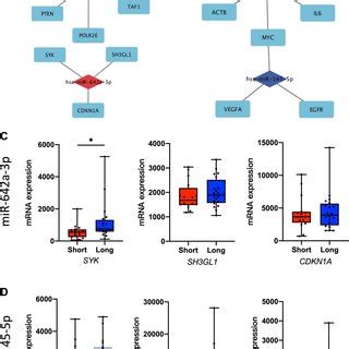 Decreased Gas Expression In Os Tissues And Cells Notes A Gas