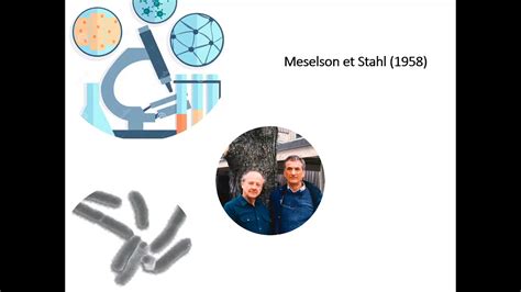 Experience De Meselson Et Stahl Trim Youtube