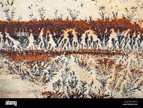 shapes   wall stock photo alamy