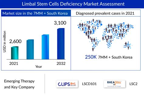 Novel Insights Into The Limbal Stem Cell Deficiency Treatment Market