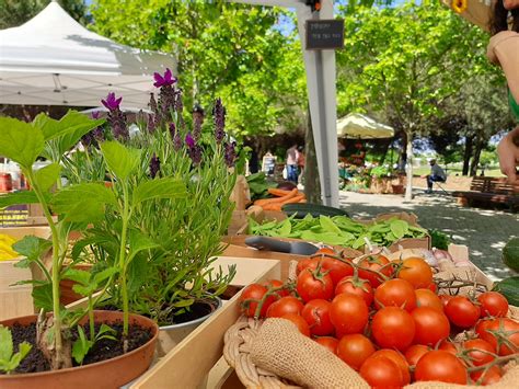 Almada Green Market Cm Almada