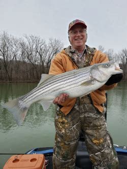 Illinois River fishing guide | Oklahoma trout fishing guide | Illinois ...