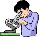 Observation | Definition of Observation by Webster's Online Dictionary 