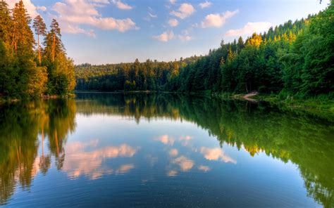 Wood Lake Wallpaper Nature And Landscape Wallpaper Better