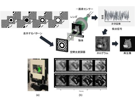 dnp optronics