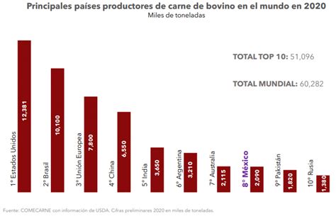 Principales Pa Ses Productores De Carne De Bovino En El Mundo En