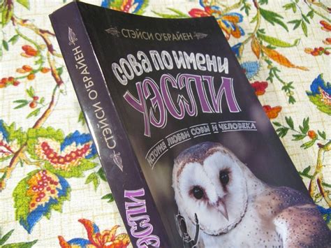 Книга: Сова по имени Уэсли. История любви совы и человека - Стейси О ...