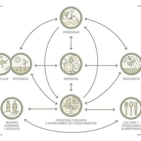 Los 10 elementos de la Agroecología Fuente Los 10 Elementos de la