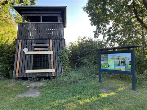 Wegen Vandalismus Beliebter Aussichtsturm Im Junkernfeld Bleibt