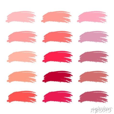 Set Of Various Lipstick Smears Nude Color Palette Makeup Swatches