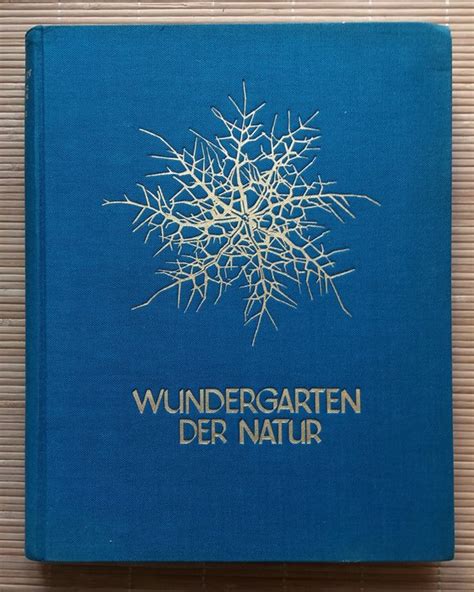 Karl Blossfeldt Wundergarten Der Natur 1932 Catawiki