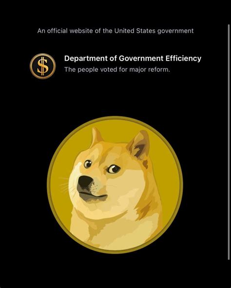 Dogecoin Price Surges as Department of Government Efficiency Adds
