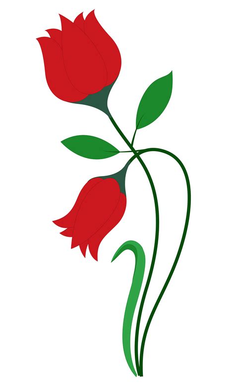 Gif Animate Rose Che Sbocciano 8