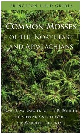 moss plants     moss identification guide