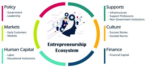 Entrepreneurship Ecosystem Domains And Sub Elements Source Adapted