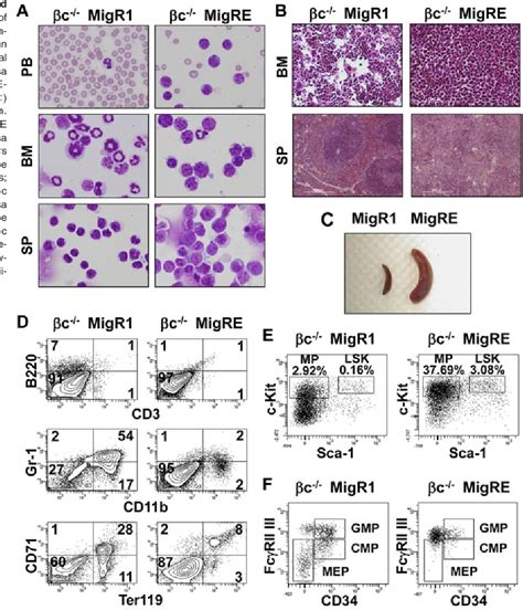 Figure From Negative Effects Of Gm Csf Signaling In A Murine Model Of