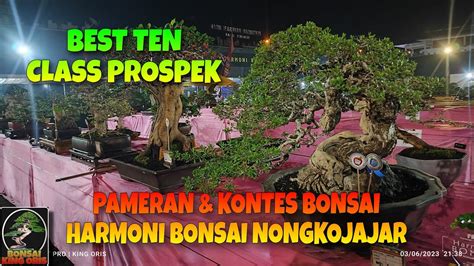 BEST TEN CLASS PROSPEK PAMERAN DAN KONTES DI HARMONI BONSAI