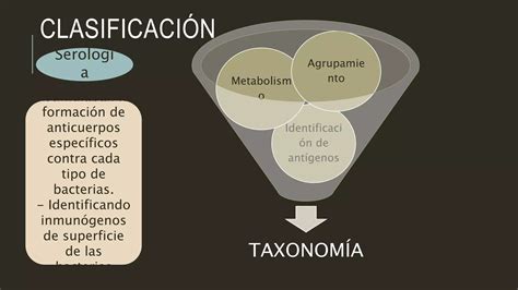 clasificación bacteriana pptx Descarga Gratuita