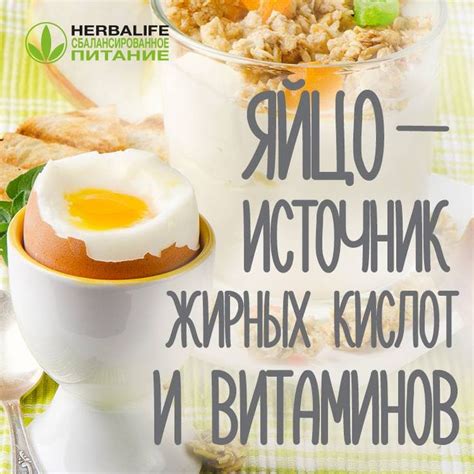 Как #известно #яйца - прекрасный #источник белка. Но сколько яиц можно ...