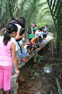 Adventures With The Naked Hermit Crabs Take A Nature Walk Is International Year Of