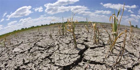 Durante Enero La Sequía Extrema Afectó Al 30 Del País Sonora