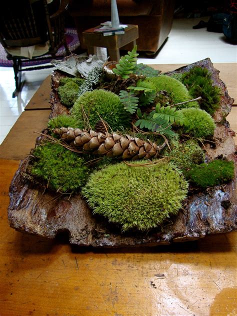 Поделки из мха своими руками - 86 фото