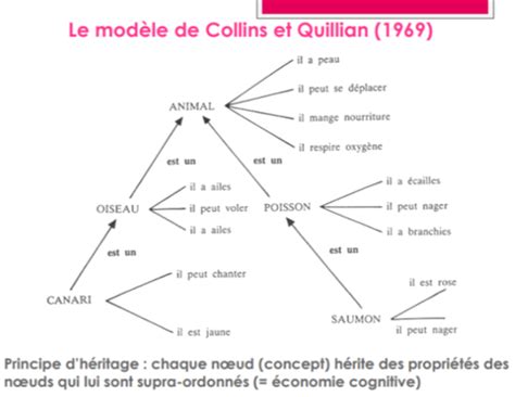 Psycho Cognitive Cm Cartes Quizlet