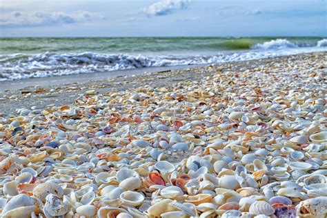 World's Best Shelling Beaches: Find Your Perfect Seashell - Hunter Games Magazine