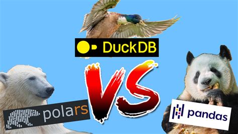 Duckdb Vs Pandas Vs Polars For Python Developers Motherduck Blog