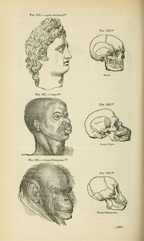 Origem Do Racismo - História – História do racismo – Conexão Escola SME