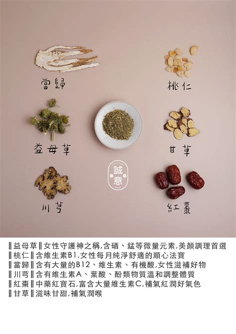 【誠意中西藥局】🌿🌿養身茶包系列—經期調養茶5包10入 誠意中西藥局連鎖事業 樂天市場rakuten