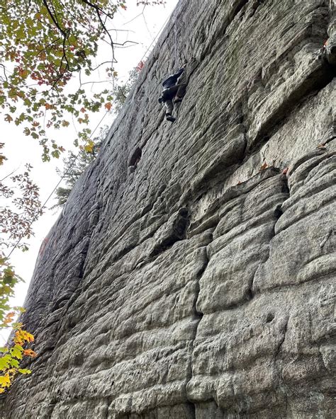 Why Visiting The Rei Stores In Ny Is Essential For Every New York Hiker And Camping Enthusiast