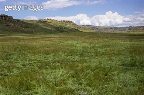 Afro Alpine Grassland Of The Golden Gate Highlands National Park South Africa In The Summer 이미지