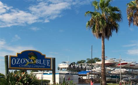 Ozona Blue Restaurant Where Flavors Meet Floridas Coastal Charm