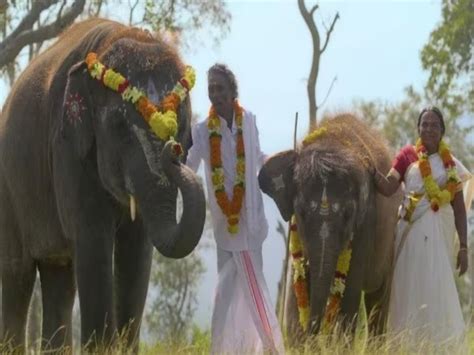 Pm Modi Meets Director And Producer Of Oscar Winning The Elephant