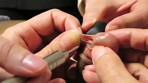 Nadeln In Meinem Hoden Extremes Cbt Hoden Spie Orgasmus Amateur Bdsm Schwanzpiercing