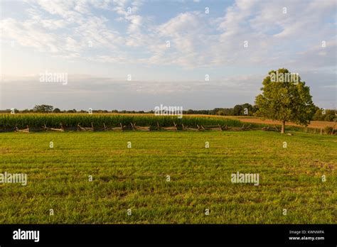 Antietam cornfield hi-res stock photography and images - Alamy